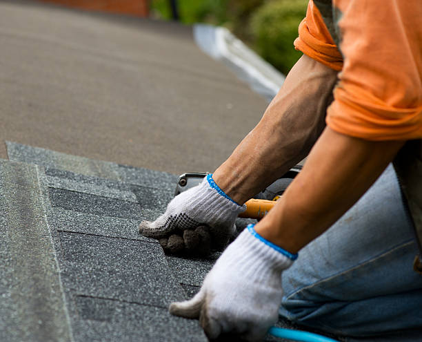 Best Roof Repair Services  in Buffalo, WY