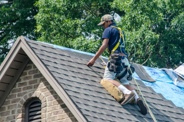 Buffalo, WY Roofing Contractor Company